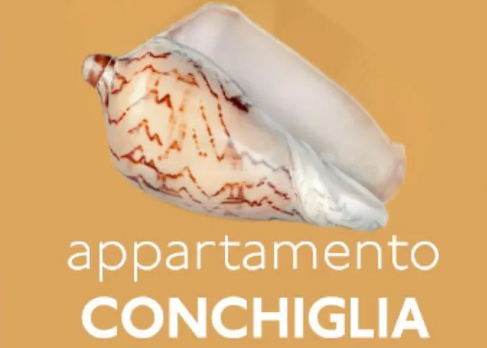 Magnani - First Floor Misano Adriatico