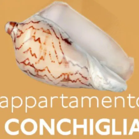 Magnani - First Floor Misano Adriatico